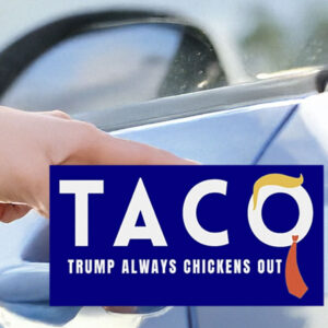 TACO Trump Always Chickens Out Car Magnet